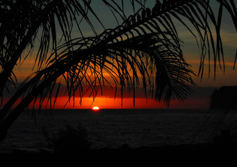 幼儿园科学教学设计活动方案