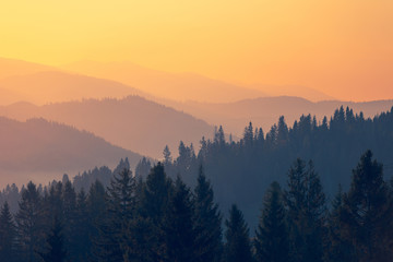 爱德读书会第06期《活出心花怒放的人生》共读第6天收获