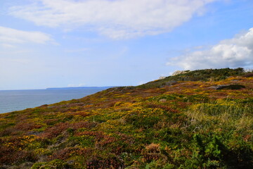 哪些花不能在家里养-