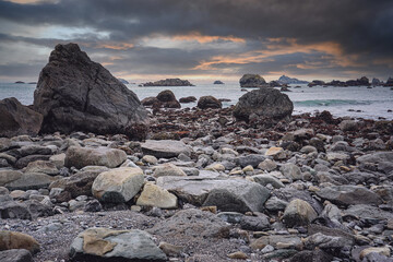 一年级读书卡好词佳句