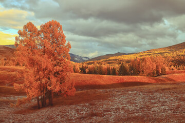 幼儿园科学教学设计活动方案