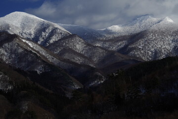 一年级读书卡好词佳句