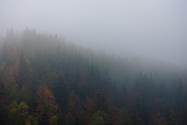中国历史上在世界上最强大的时候、最屈辱的时候、最繁荣的时候分别是哪个朝代