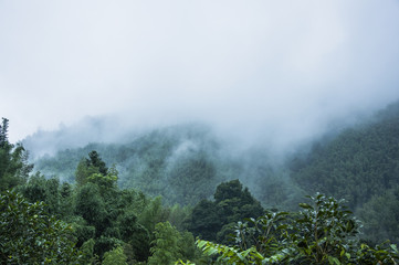 上哪儿找一年级要讲的故事呀儿？